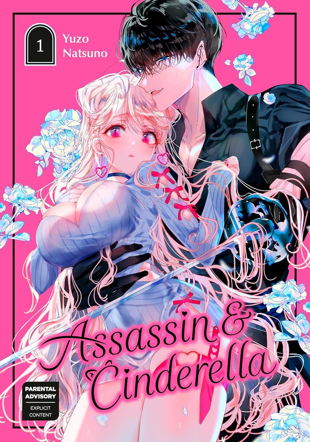 Assassin and Cinderella